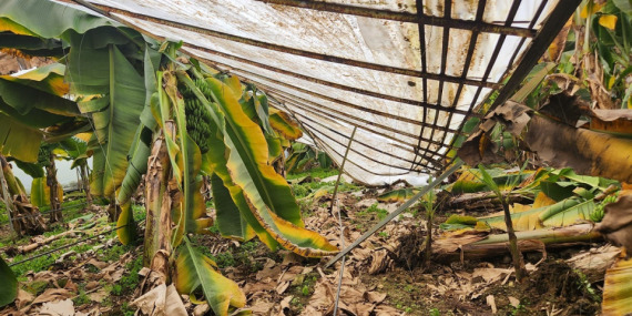 Anamur’da dolu yağışı seralara zara verdi