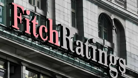 Fitch Rating Raporunun Satır Araları