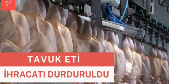 Tavuk Eti İhracatı Durduruldu