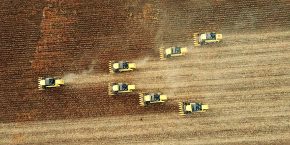 Global besin fiyatları Ocak’ta da düşüşünü sürdürdü