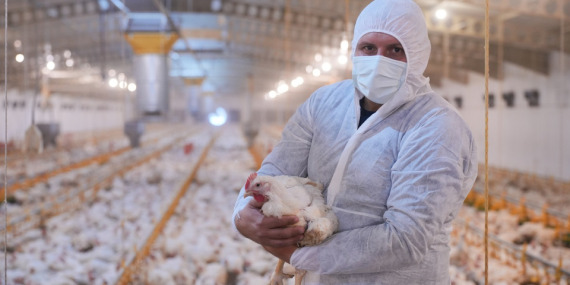 Kahramanmaraş’a 130 milyon euroluk piliç yatırımı