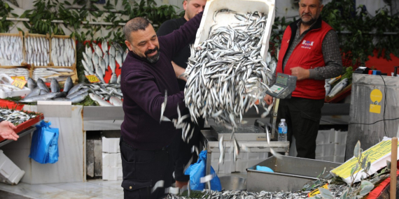 Kilosu 400 TL’ye satılıyordu, neredeyse sudan ucuz hale geldi: Balık pazarı hareketlendi