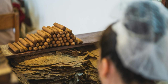 Küba’nın ‘döviz kaynağı’ festivaline enerji krizi darbesi