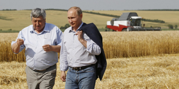 Rusya tahıl ekim alanlarını artırıyor