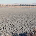 son-55-yilda-sulak-alanlarin-yuzde-22sini-yok-ettik-CzfXfynf.jpg