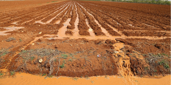 “Türkiye tarımda kullandığı suyun yarıdan fazlasını israf ediyor”