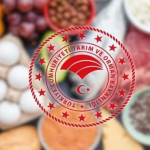 Taklit-tagsis-gidalar