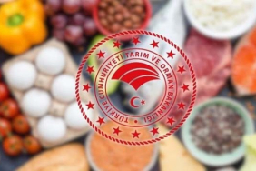 Taklit-tagsis-gidalar