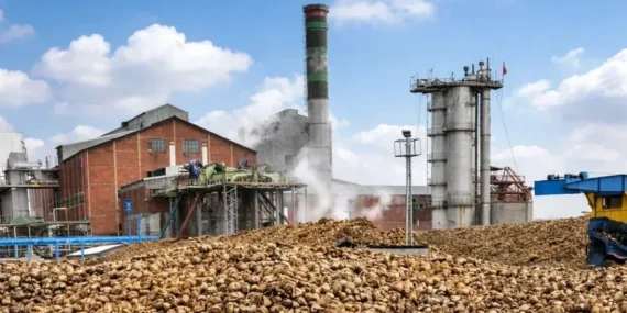 73 Yıllık Adapazarı Şeker Fabrikası’nda Üretim Durdu: “Mesele Yalnızca Bir Fabrika Değil”