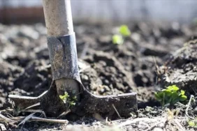 gubrede-vergi-sifirlandi-