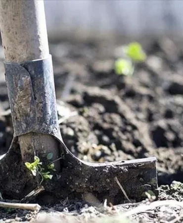 gubrede-vergi-sifirlandi-