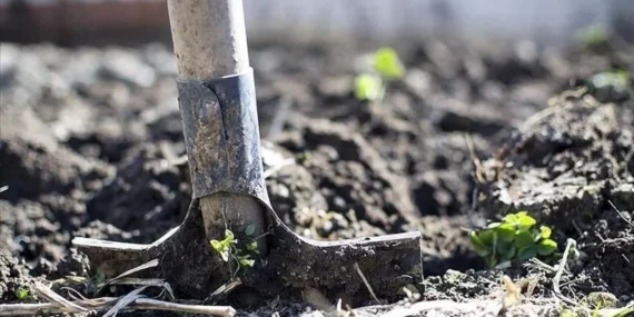 Çiftçiye Müjde; İki Ürün Grubunda Gümrük Vergisi Sıfırlandı