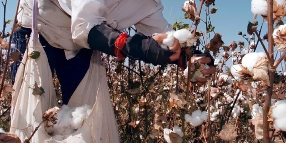 Tekstil Sektörü Sentetik Yerine Doğal Pamuğa Yöneldi