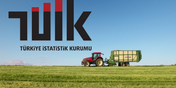 TÜİK Tarım ÜFE Rakamlarını Açıkladı