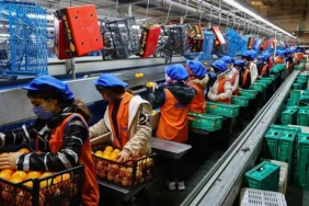 PMI VERİLERİ