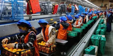 PMI VERİLERİ