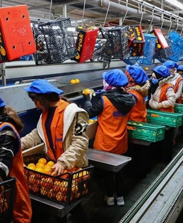 PMI VERİLERİ