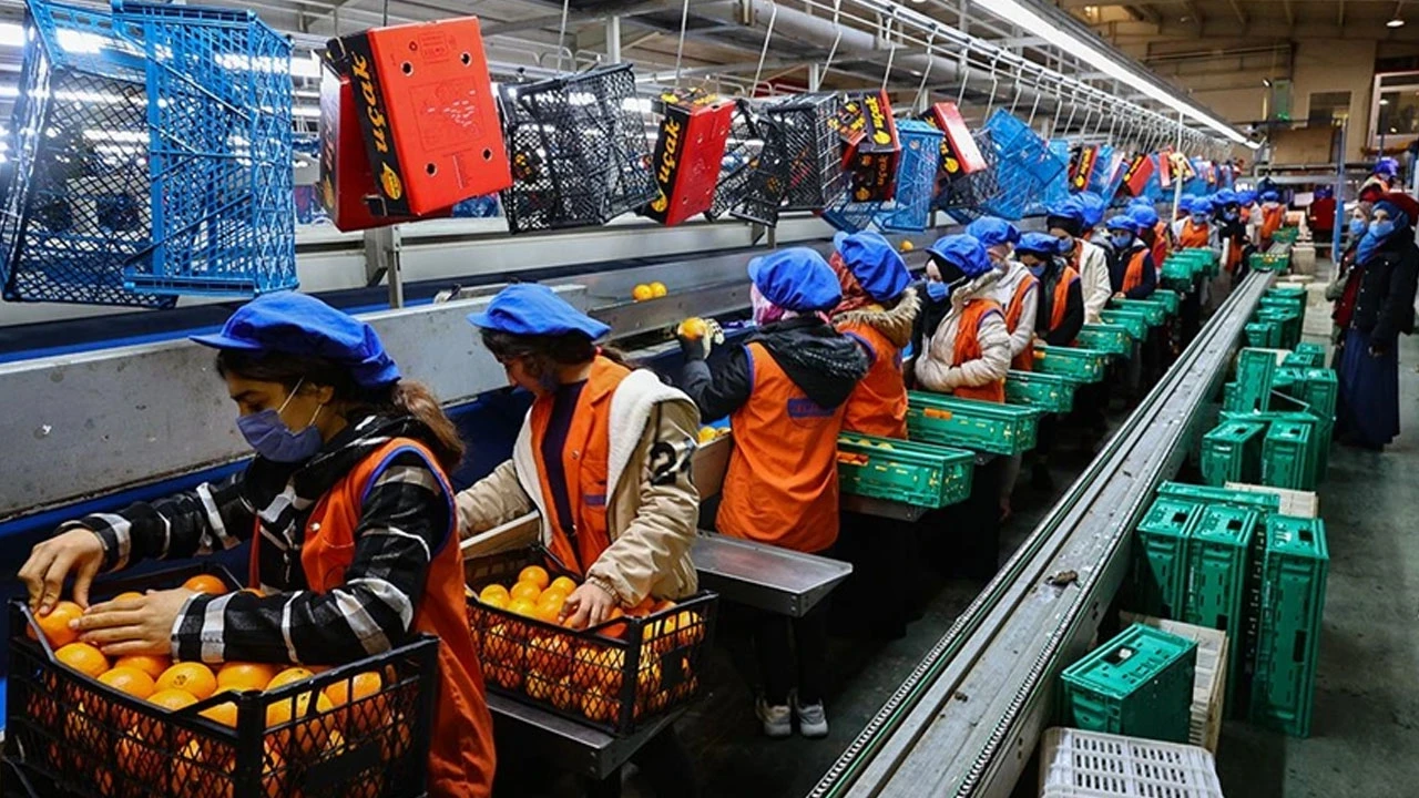 PMI VERİLERİ