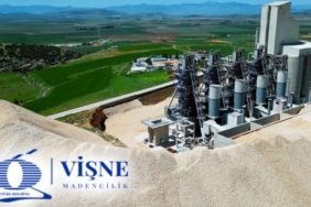 VİŞNE