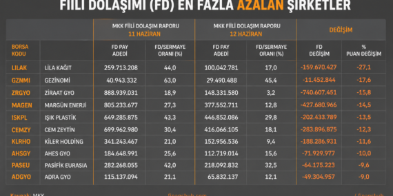 Fiili Dolaşım Düzenlemesi Örtüyü Kaldırdı