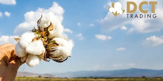 Patrondan Halka Arz Kadar Satış: Hâkim Ortak %10 Daha Satıyor